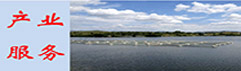 产业服务